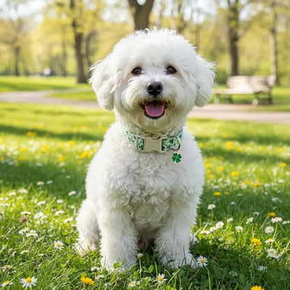 Dog Collars for Medium Dogs, Medium Girl Boy Pet Collar - Image 4