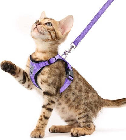 PUPTECK Cat Harness and Leash Set Escape Proof Reflective Cat Walking Harness by PUPTECK