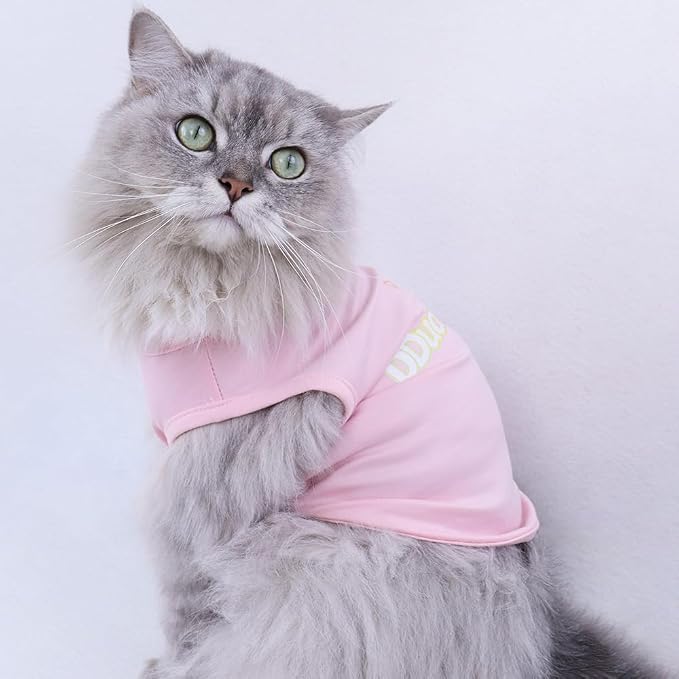 Custom Dog Shirt, Personalized Pet Apparel - Image 3