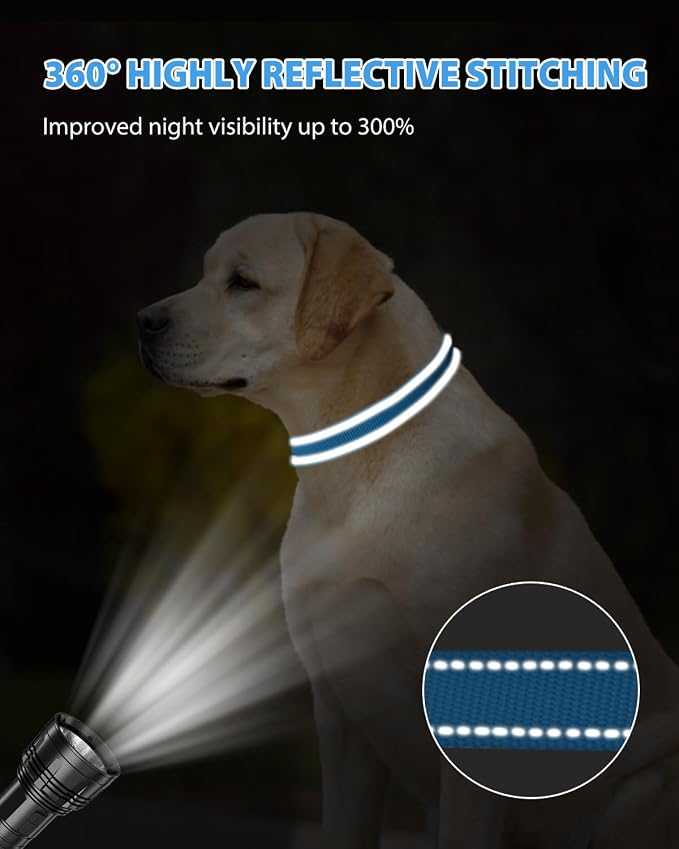 Joytale Reflective Dog Collar, Adjustable Nylon Pet Collar - Image 5