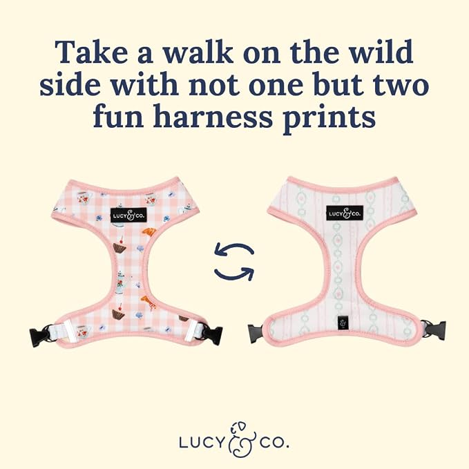 Lucy & Co. Sipping Slowly Reversible Dog Harness, Adjustable Comfort Fit - Image 4