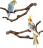 PINVNBY Natural Parrot Perch Grape Wood Bird Stand Pole Parakeet Paw Grinding by PINVNBY