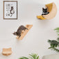 Cat Shelf for Wall Hammock Climbing Shelves and Perches Solid Wood Cat Steps by HAPYKITYS