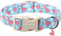 DOGWONG Blue Heart Dog Collar, Cute Valentine Puppy Collar, Valentine's Day Dog by DOGWONG