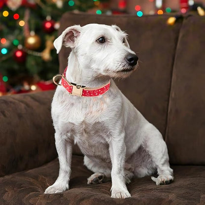 Woven Dog Collar with Metal Buckle Adjustable Jacquard Retro Dog Collars - Image 4