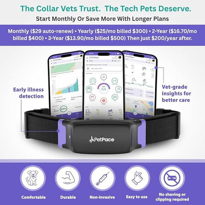 V3.0 Dog Health Monitor – AI Health Collar - Image 2