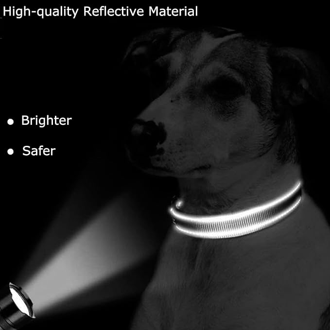 Roses&Poetry Reflective Dog Collar - Image 5