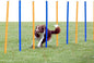 Trixie Dog Agility Slalom Course by TRIXIE