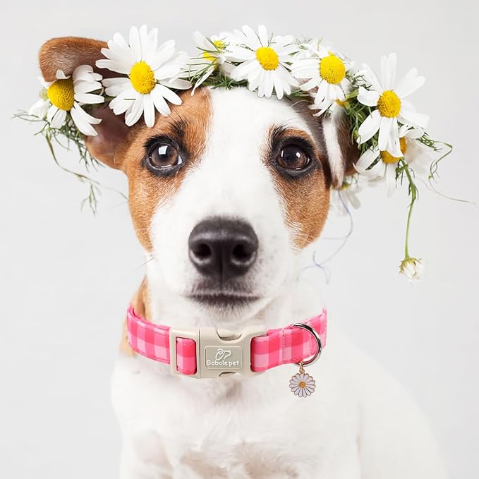 Girl Dog Collar for Giant Large Dogs - Image 7