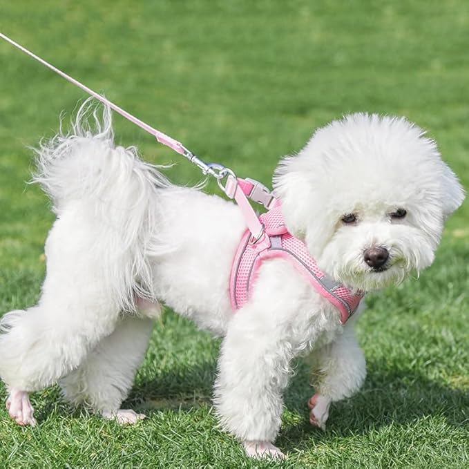 AIITLE Escape Proof Dog Harness - Image 4