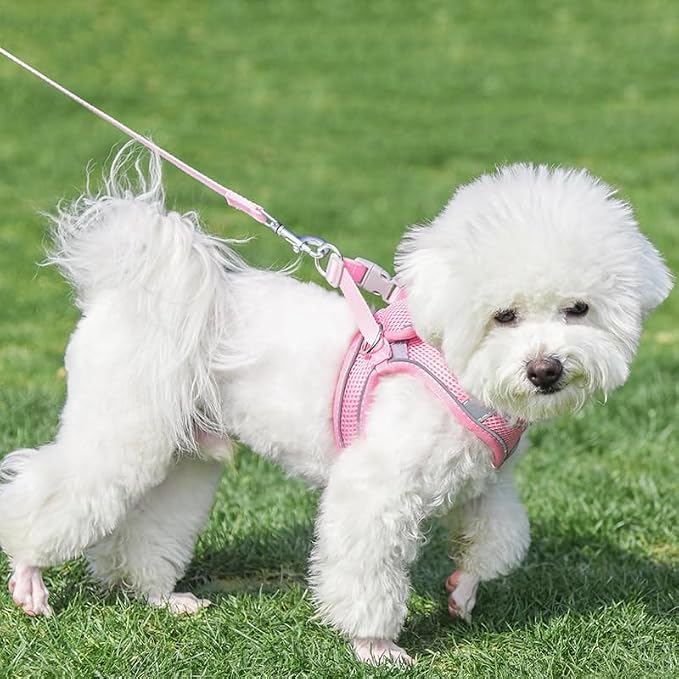 AIITLE Easy Walk Dog Harness and Leash Set - Image 8