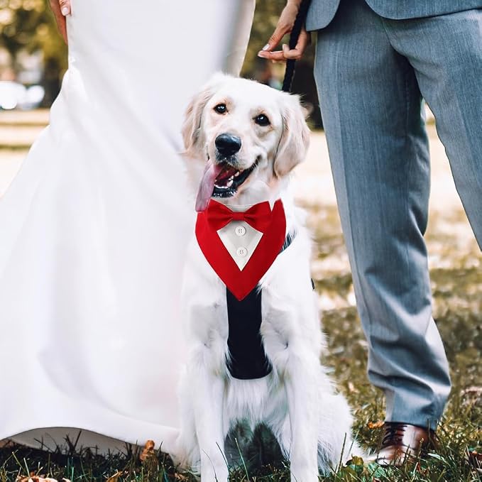 Dog Tuxedo, Formal Dog Wedding Bandana Adjustable Pet Collar - Image 4