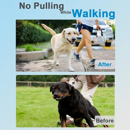Dog No Pull Collar, Adjustable Size - Image 2