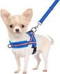 SlowTon No Pull Small Dog Harness and Leash Set, Puppy Soft Vest Harness Neck & by SlowTon