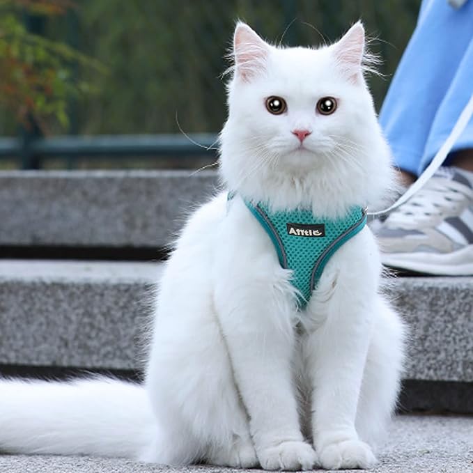 AIITLE Dog Harness, No-Pull Cat Harness - Image 7