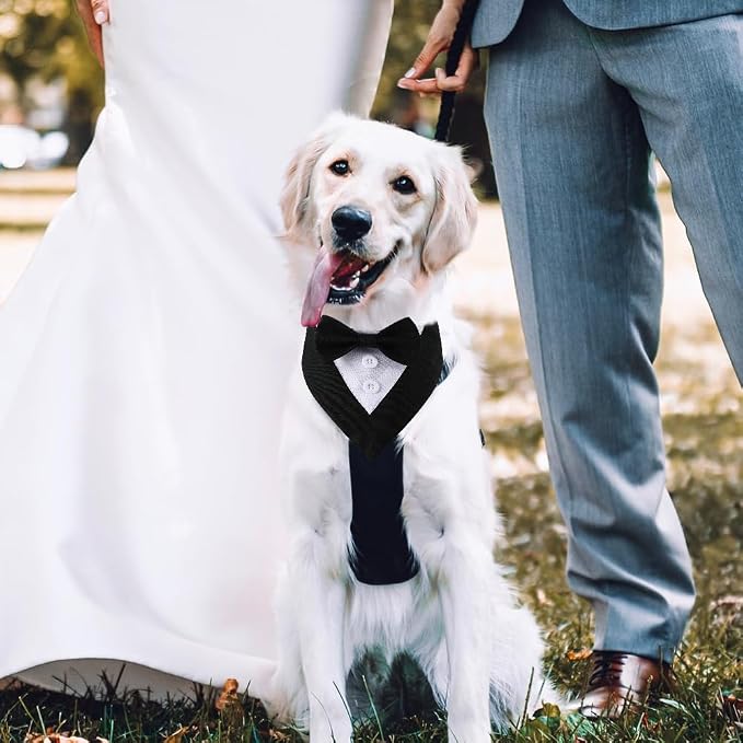 Formal Dog Tuxedo Adjustable Pet Collar - Image 5