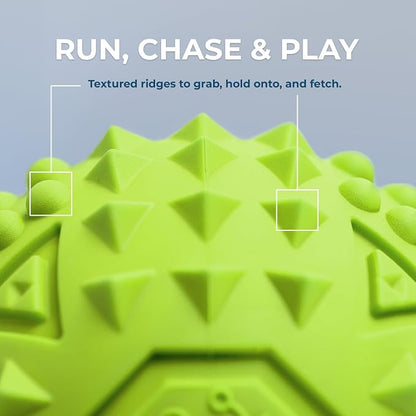 Best Pet Supplies Squeaky Dog Toys - Image 3
