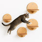Cat Wall Shelves by INSTINTO