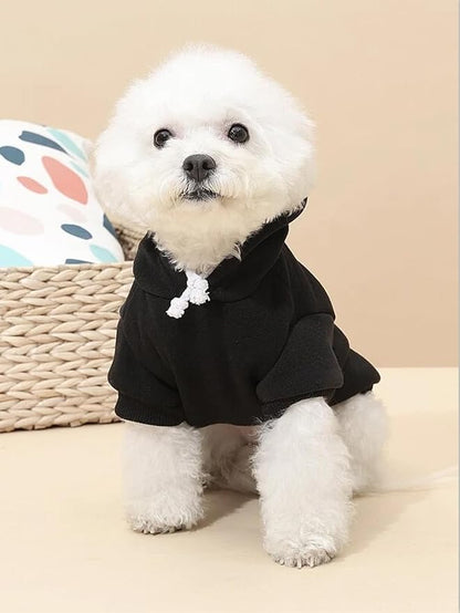 QWINEE Basic Dog Hoodie Sweatshirt Puppy Sweater Warm Cat Costumes Pet Clothes - Image 2