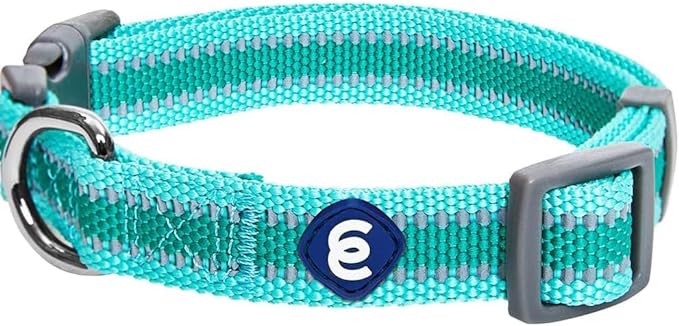 Blueberry Pet Essentials Reflective Adjustable Safety Nylon Dog Collars Medium by BlueberryPet