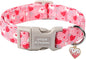 Unique style paws Valentine's Day Dog Collar Plastic Buckle Collar by Uniquestylepaws