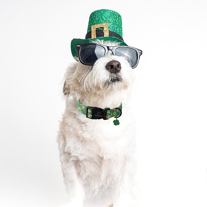 St Patricks Day Dog Collar for Large Dogs - Image 5