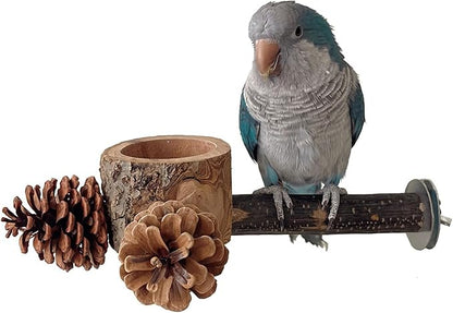 Bird Perch with Feeder for Cage & Chew Toys Pinecones by Unknown