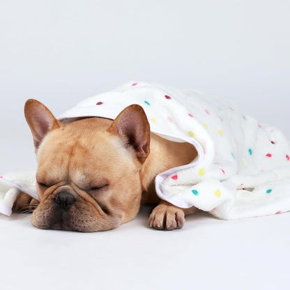 Luciphia 1 Pack 3 Blankets Super Soft Cute Dot Pattern Pet Blanket Flannel Throw - Image 5