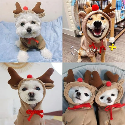 Warm Dog Winter Clothes Cute Fruit Dog Coat Hoodies Fleece Pet Dogs Costume - Image 4