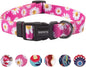 QQPETS Adjustable Soft Dog Collar: Print Flower Pink Multicolor Cute Patterns by QQPETS