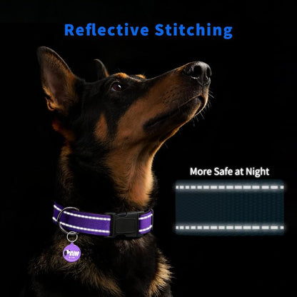 Reflective Dog Collar for Extra Small Dogs - Image 3