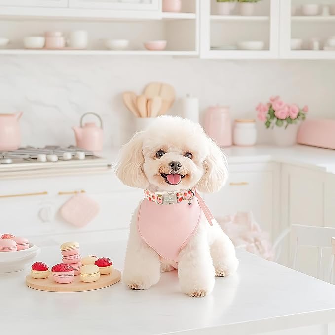 Strawberry Dog Collar for Small Dogs - Image 5