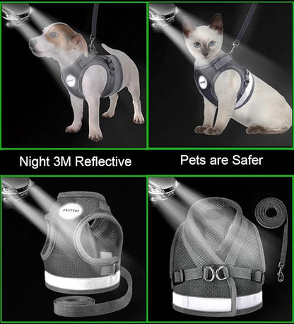 Cat Harnesses and Puppy Harness - Image 5