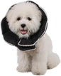 Adjustable Small Dog Cone, Soft Cat Recovery Cone Collar, Cute Cat Surgery by WZPET
