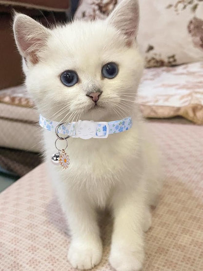 10PC Floral Cat Collar Set - Image 2