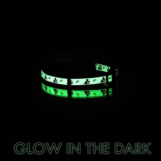 Pawtitas Glow in The Dark Cat Collar - Image 7