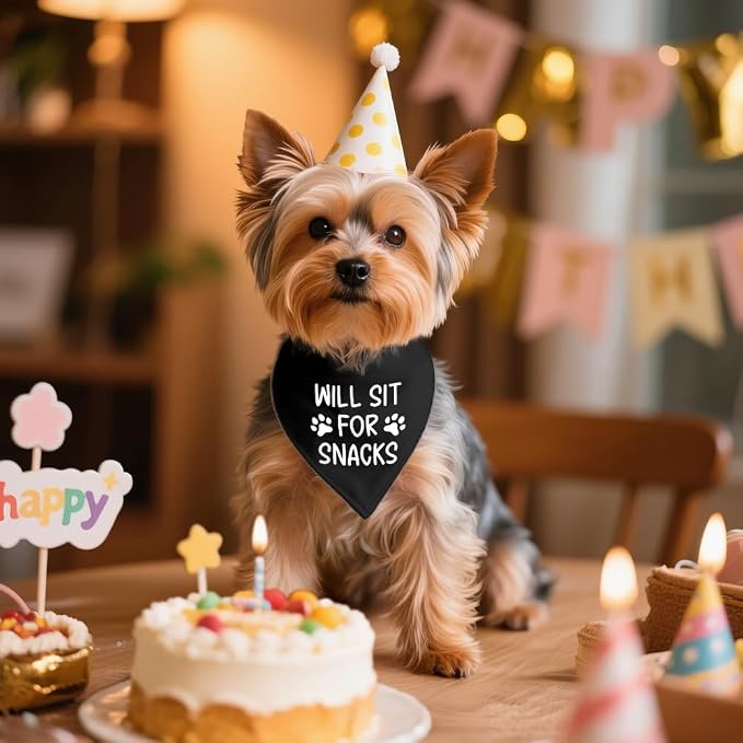 Will Sit for Snacks Black Dog Bandana, Puppy Scarf Accessory Photo Prop for - Image 4