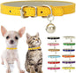 Gold Puppy Collar with Bell, Soft Pu Leather Cat Collars Adjustable Buckle by Weimostar