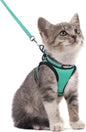 rabbitgoo Cat Harness and Leash Set by rabbitgoo