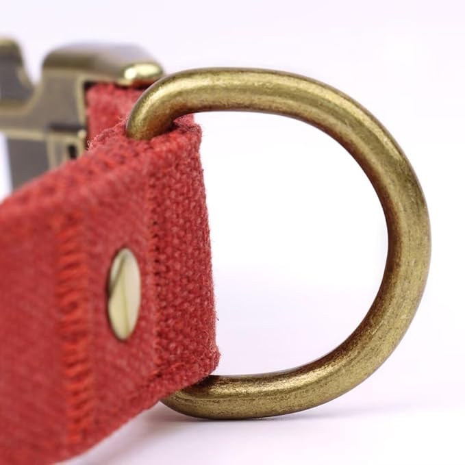 PET ARTIST Dog Collars for Small Dogs, Soft Padded Premium Nylon Dog Collar - Image 8