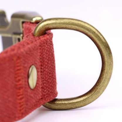 PET ARTIST Dog Collars for Small Dogs, Soft Padded Premium Nylon Dog Collar - Image 8