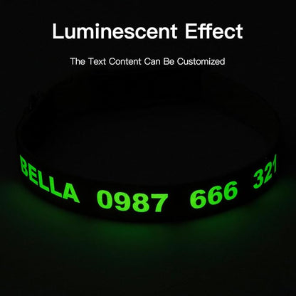 DOG WORLD Custom Fluorescent Dog Collar - Image 3