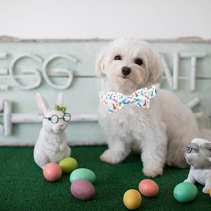 Lionheart glory Easter Dog Collar - Image 6