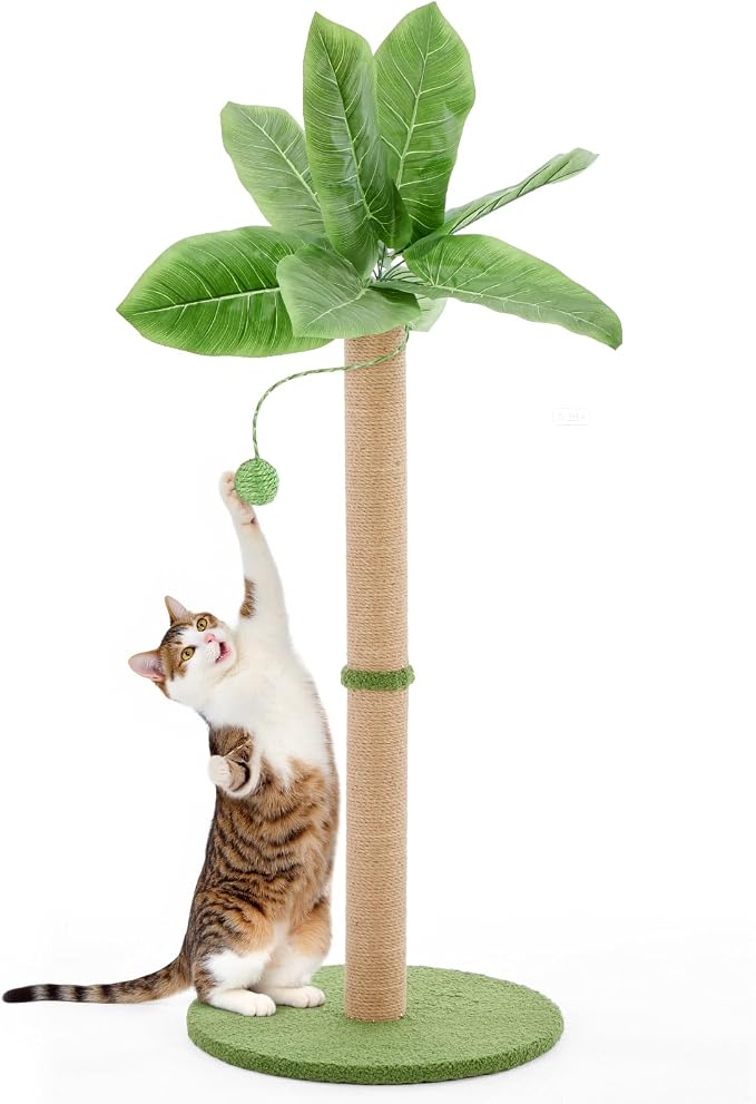 DUMOS Small 33inch Cat Scratching Post by DumosLifestyle