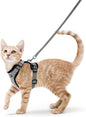 rabbitgoo Cat Harness and Leash by rabbitgoo