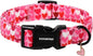 DOGWONG Valentine Dog Collar, Girl Female Dog Collars by DOGWONG