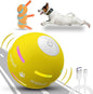 Dog Balls, The 3rd Generation Interactive Toys by Unknown