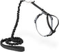PetSafe Come With Me Kitty Cat Harness & Bungee Leash by PetSafe