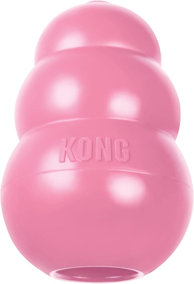KONG - Puppy Toy Natural Teething Rubber - Fun to Chew, Chase and Fetch - by KONG