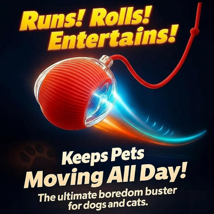 Purrmitive 2026 Durable Interactive Cat Toys - Image 3